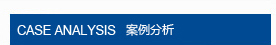案例分析